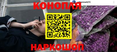 индика Шебекино