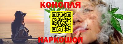 молекула духа Шелехов