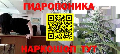 молекула духа Шелехов