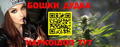 молекула духа Шелехов