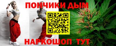 молекула духа Шелехов
