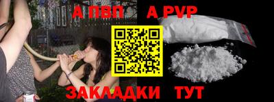 молекула духа Шелехов