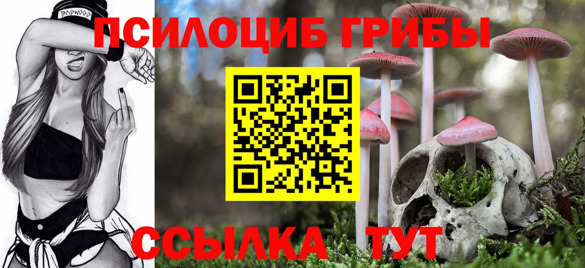 Псилоцибиновые грибы прущие грибы  Галлюциногенные грибы GOLDEN TEACHER  Вход с VPN  Сердобск 